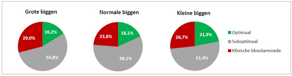 Invloed van de grootte van de big