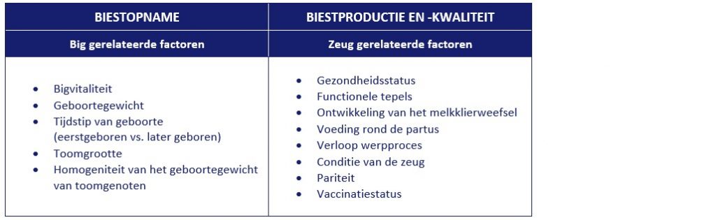 Zeugen vaccineren om biggen te beschermen tegen geboortediarree