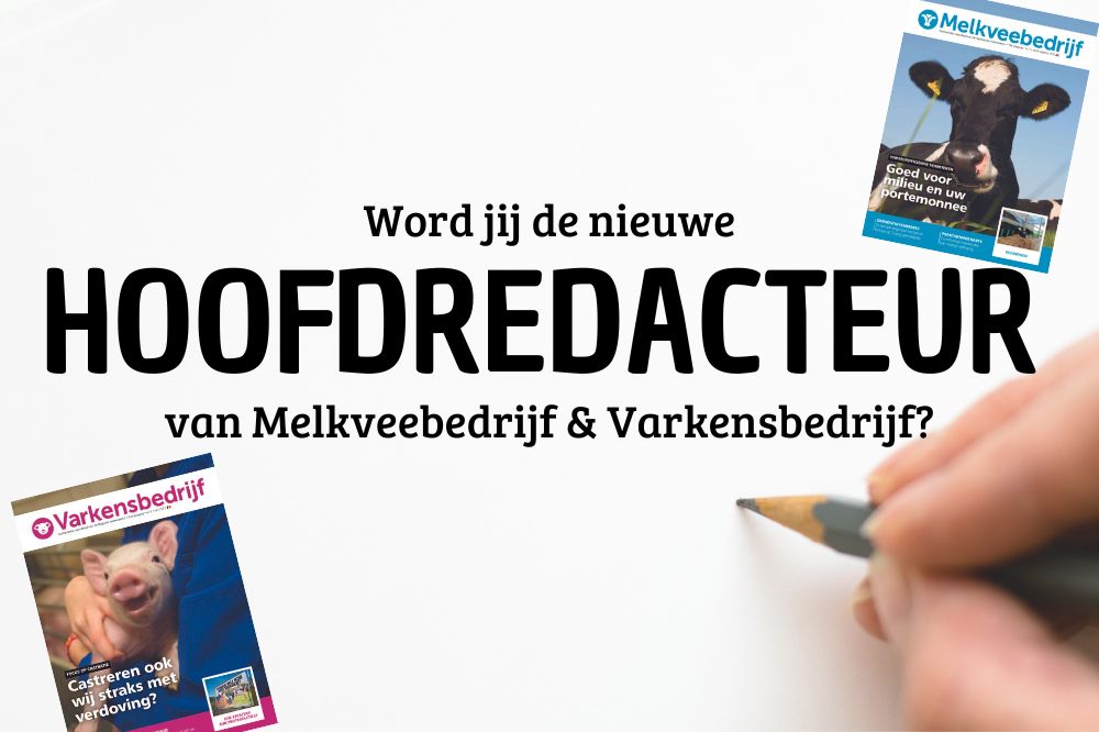 VACATURE | Hoofdredacteur Melkveebedrijf & Varkensbedrijf Vlaanderen