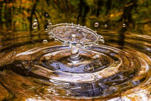 Studiebijeenkomst over water in de landbouw op 2 maart