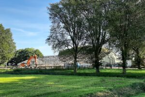 Varkensboeren krijgen extra tijd voor vrijwillige opkoopregeling