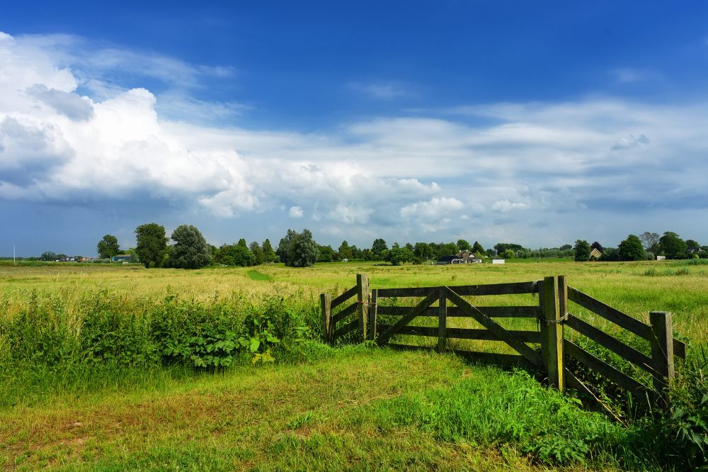 Natuur- en milieuorganisaties verlaten onderhandelingstafel over MAP7