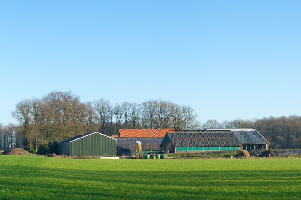 Landbouwers getroffen door stikstofakkoord dreigen in de kou te blijven