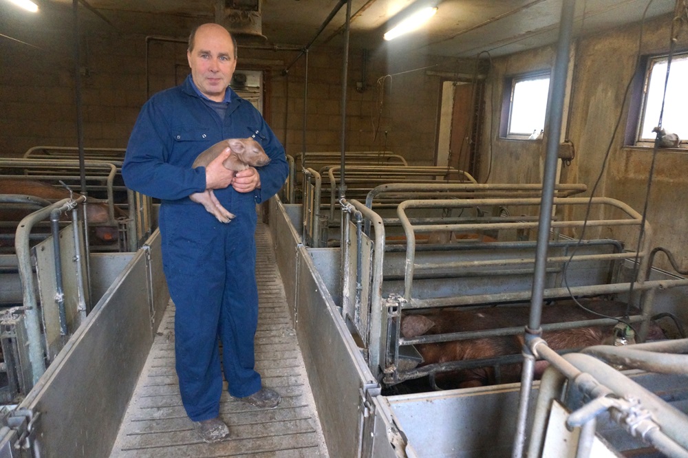 Varkenshouder Yvan Schurmans: “Er blijft helemaal niets van de varkens over”