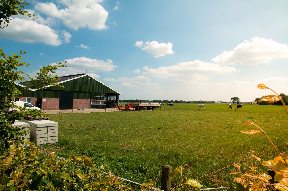 VLIF-steun stikstofdecreet beschikbaar voor AER-maatregelen of innovatieve investeringen