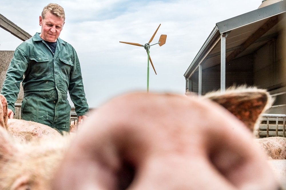 Bioboerderij De Vleterbeek genomineerd voor de BioVLAM